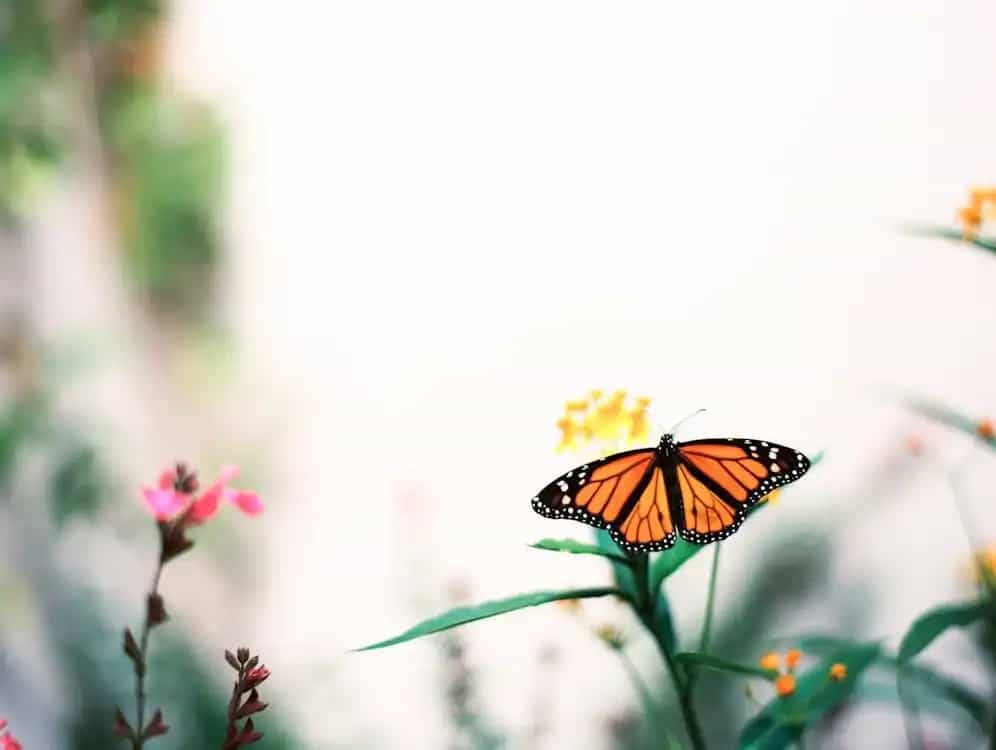Spring底层核心原理简单介绍