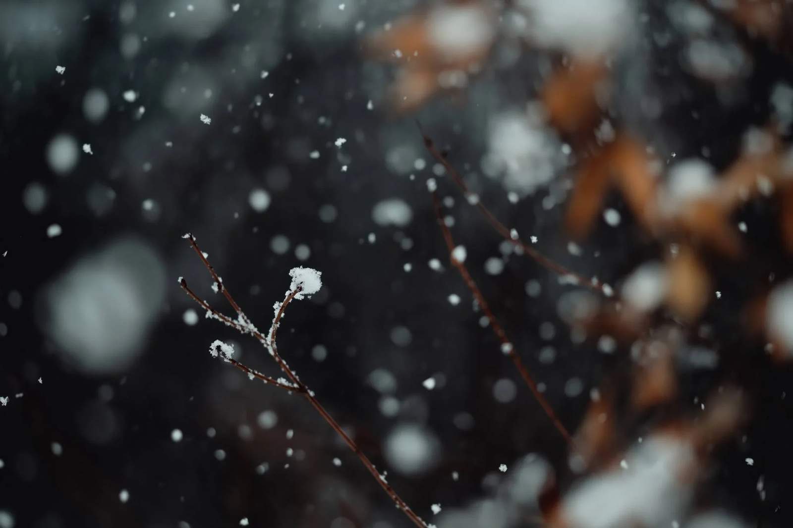 RabbitMQ的死信队列和延迟队列