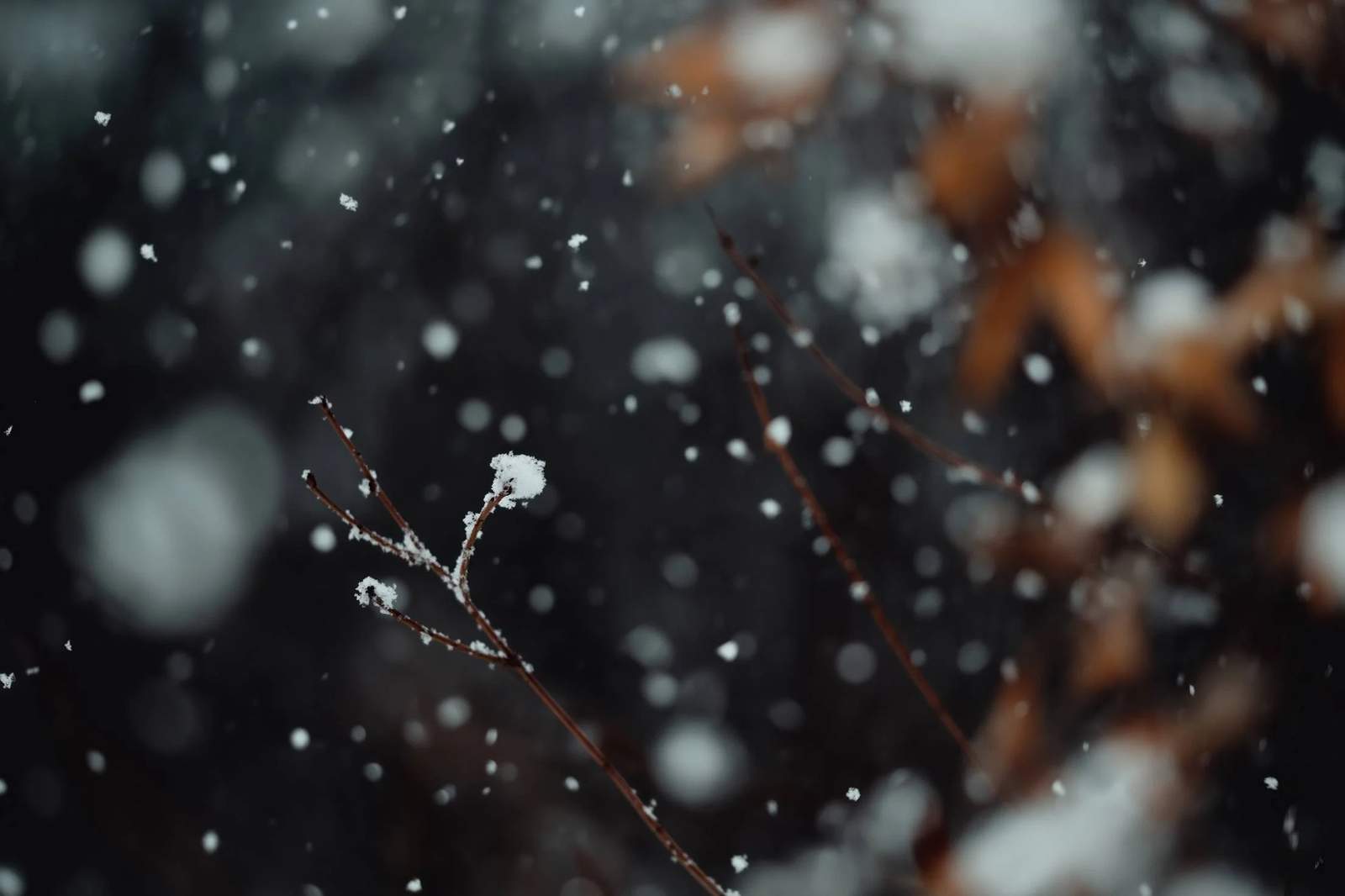 Web thumbnail